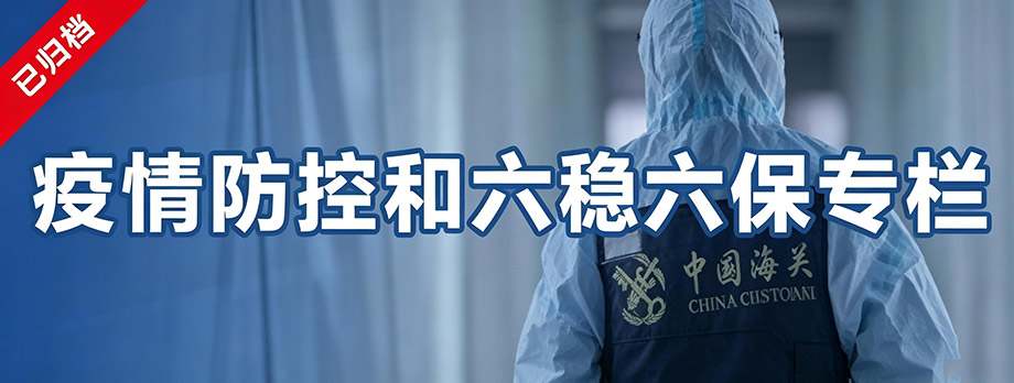 疫情防控和六稳六保专题